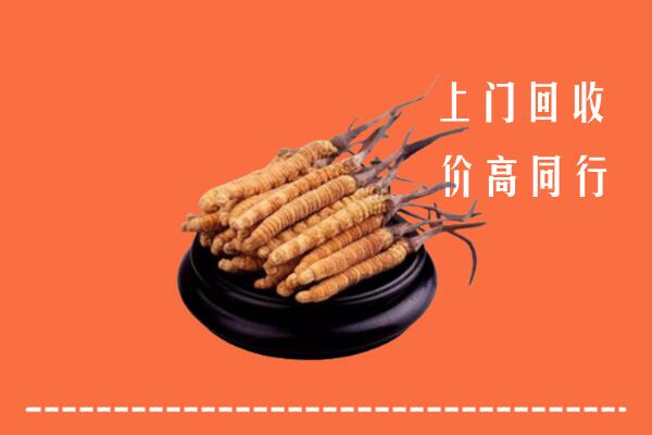 高价求购：三门峡市回收散虫草