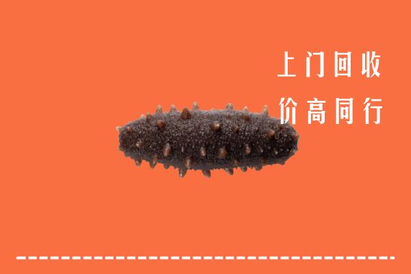三门峡市回收海参